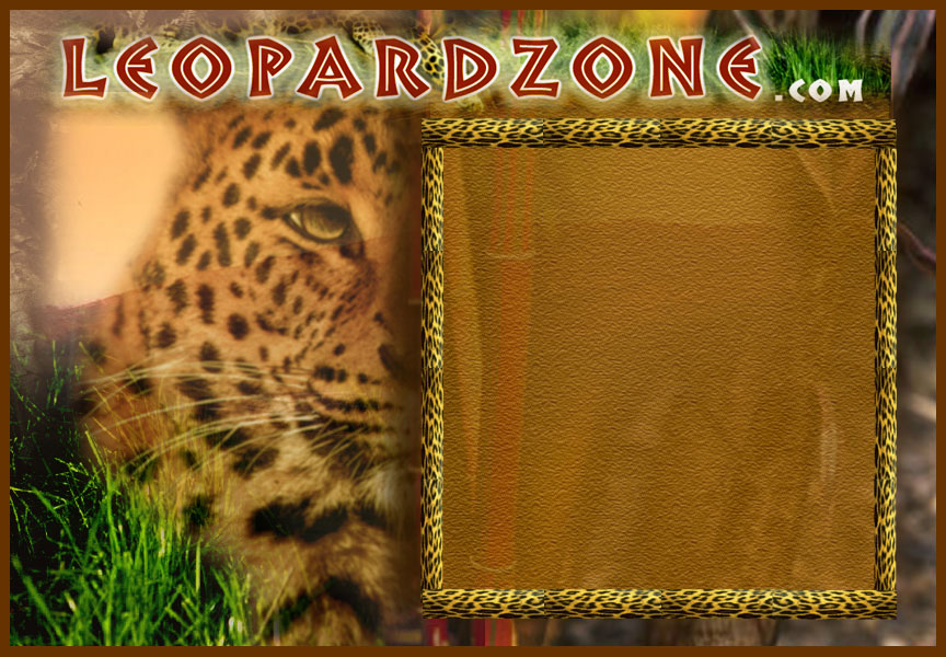 leopard_store