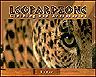 leopardzone