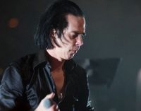 Listen: Nick Cave covers The Beatles’ ‘Here Comes The Sun’