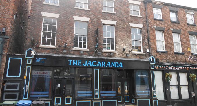 The Jacaranda