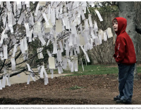 Hirshhorn Museum is taking virtual wishes this year for Yoko Ono’s ‘Wish Tree’ – The Washington Post