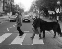 Paul McCartney “nearly run over” while filming on Abbey Road zebra crossing