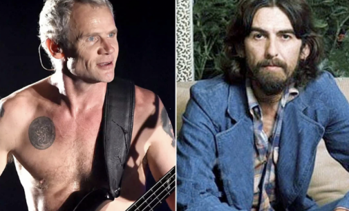 Red Hot Chili Peppers’ Flea Has Discovered Something Better Than George Harrison – Rock Celebrities