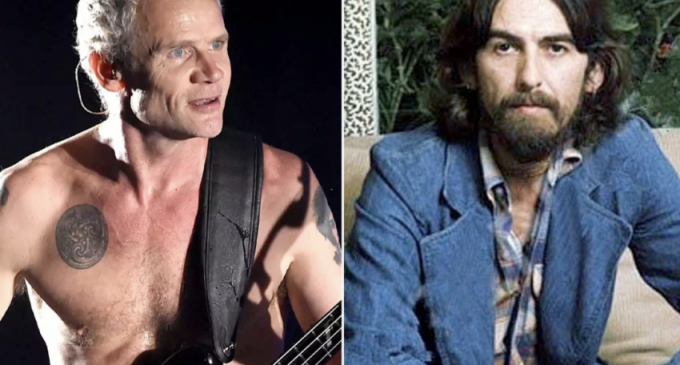 Red Hot Chili Peppers’ Flea Has Discovered Something Better Than George Harrison – Rock Celebrities