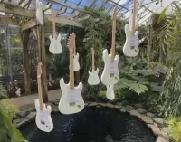 ‘The Quiet Beatle’s’ secret passion on display in Sarasota