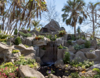 New display at Selby Gardens shows a different side of this Beatle